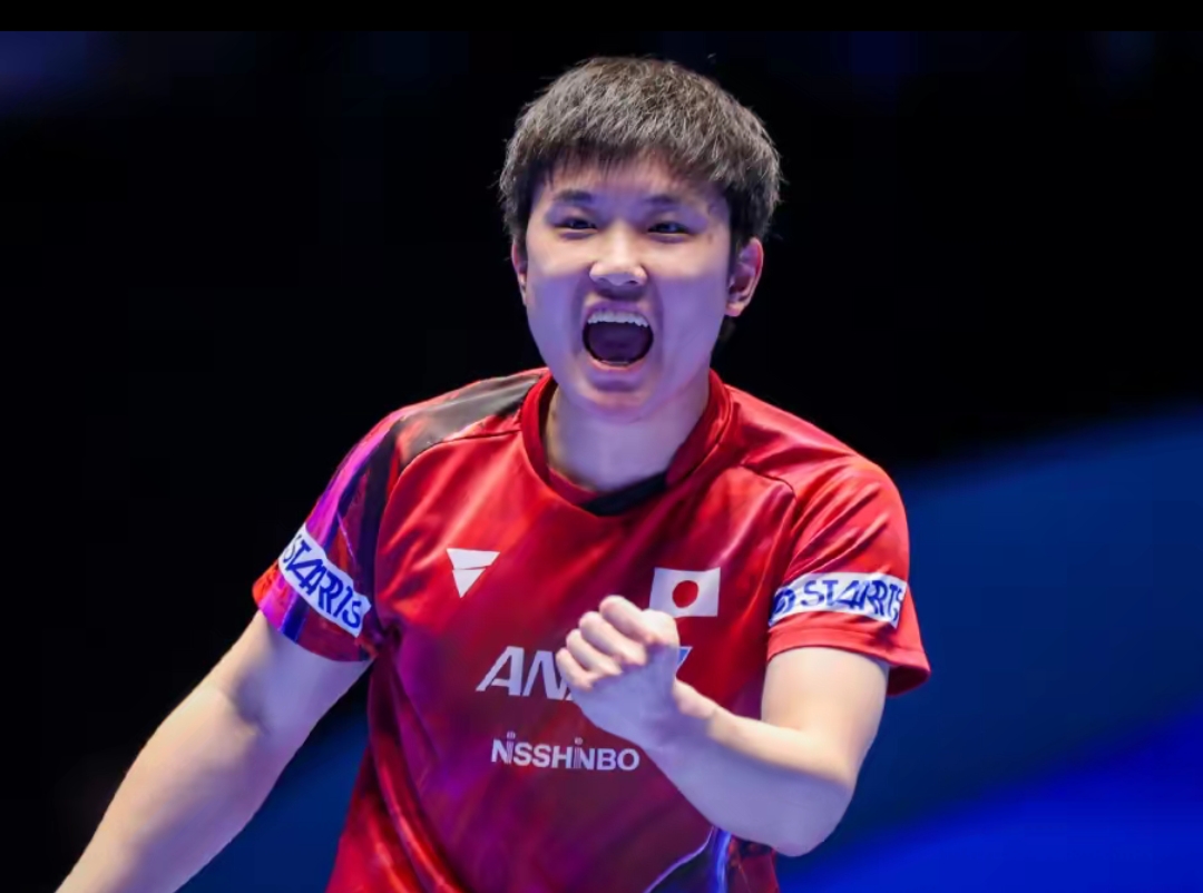 这些案例将 这些案例将