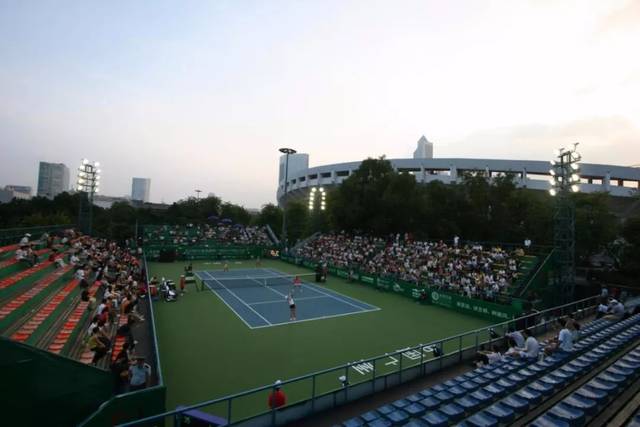 象的背后 象的背后